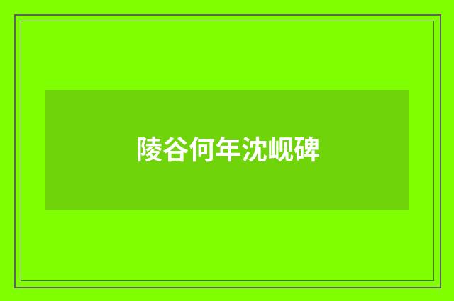 陵谷何年沈岘碑