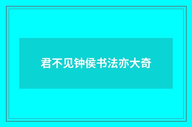 君不见钟侯书法亦大奇