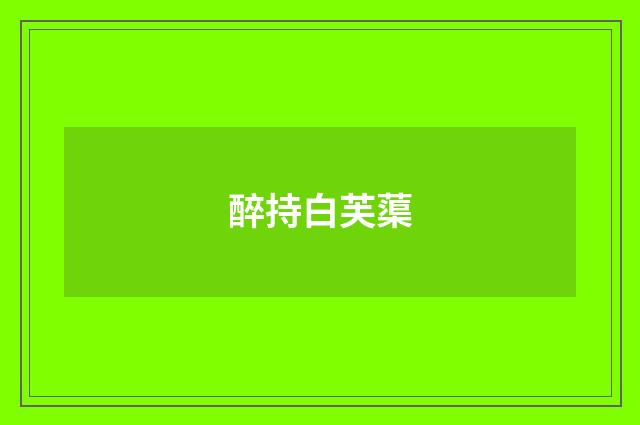 醉持白芙蕖