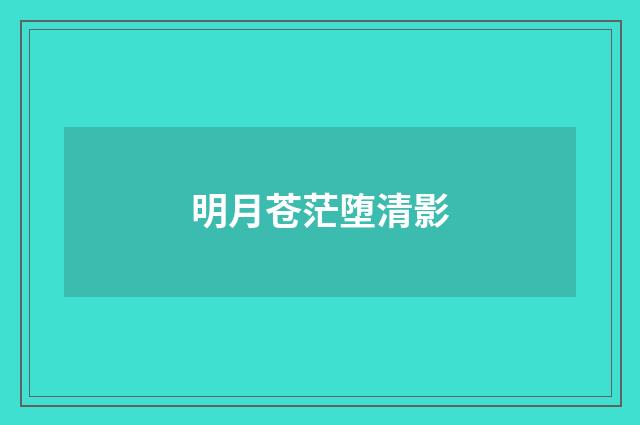 明月苍茫堕清影