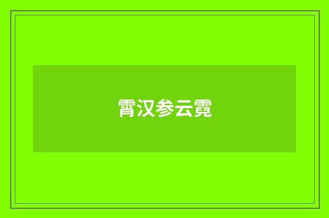 霄汉参云霓