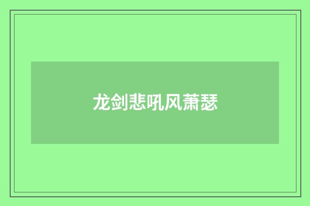龙剑悲吼风萧瑟