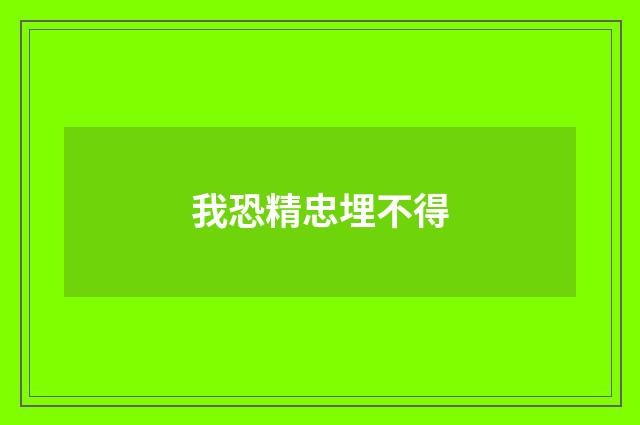 我恐精忠埋不得