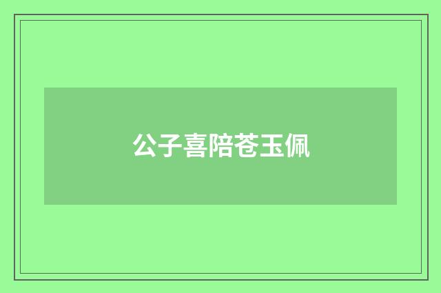 公子喜陪苍玉佩