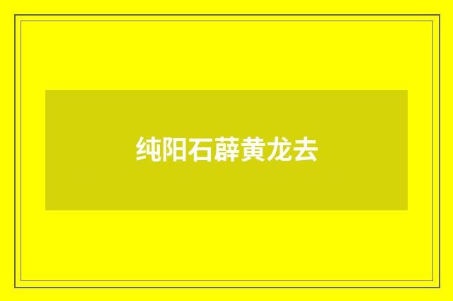 纯阳石薜黄龙去