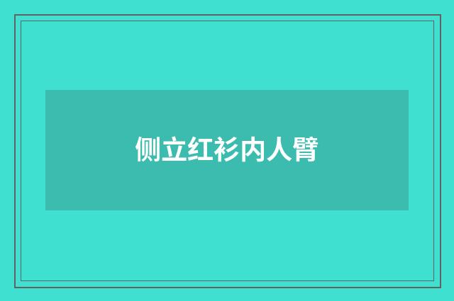 侧立红衫内人臂