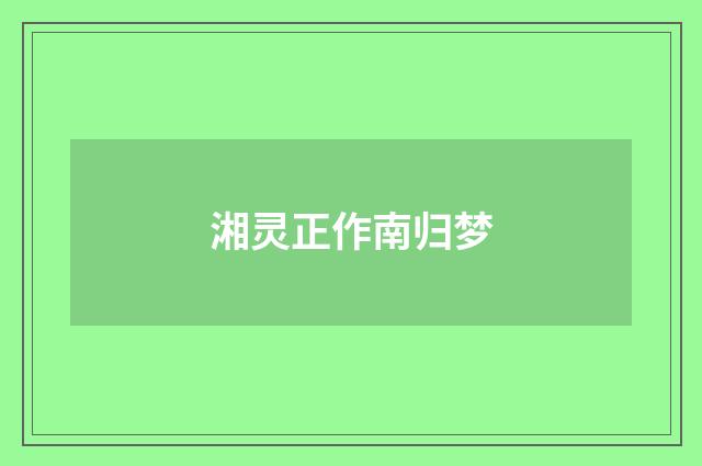 湘灵正作南归梦