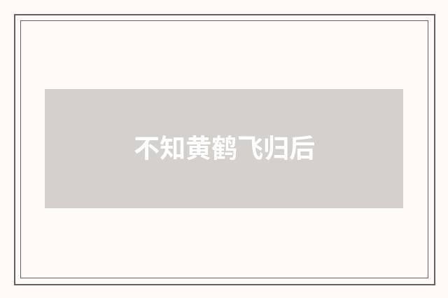 不知黄鹤飞归后
