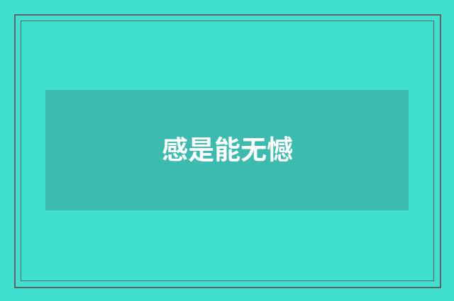 感是能无憾