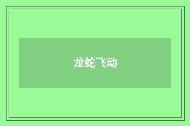 龙蛇飞动