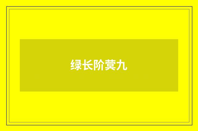 绿长阶蓂九