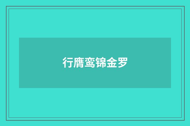 行膺鸾锦金罗
