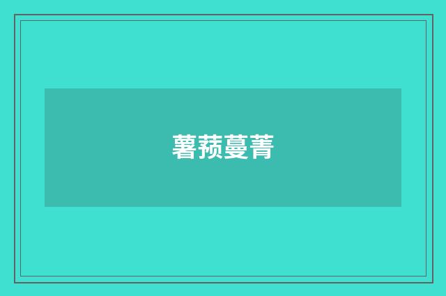 薯蓣蔓菁
