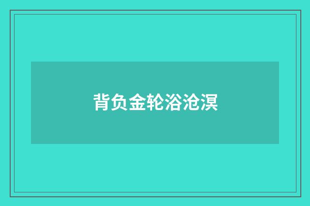 背负金轮浴沧溟