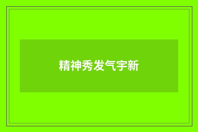 精神秀发气宇新