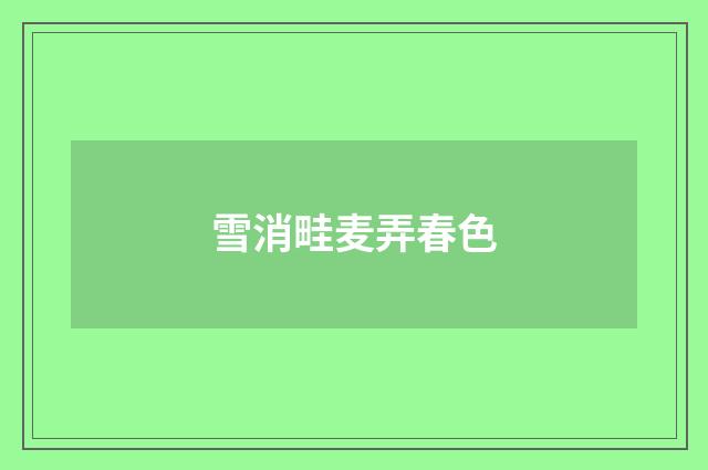 雪消畦麦弄春色