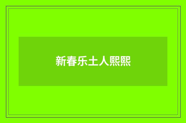 新春乐土人熙熙