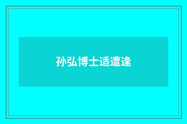 孙弘博士适遭逢