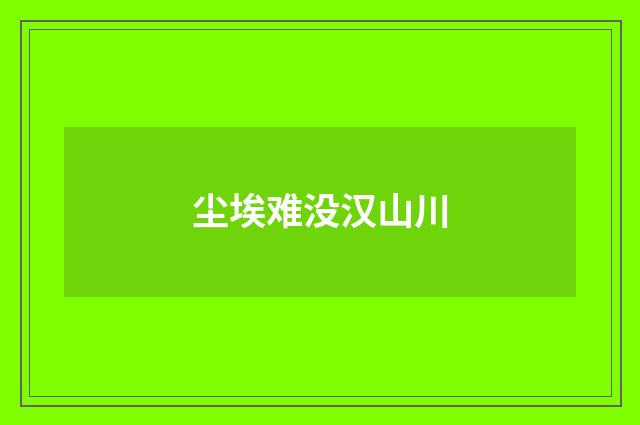 尘埃难没汉山川