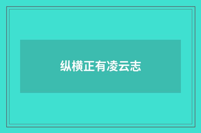 纵横正有凌云志