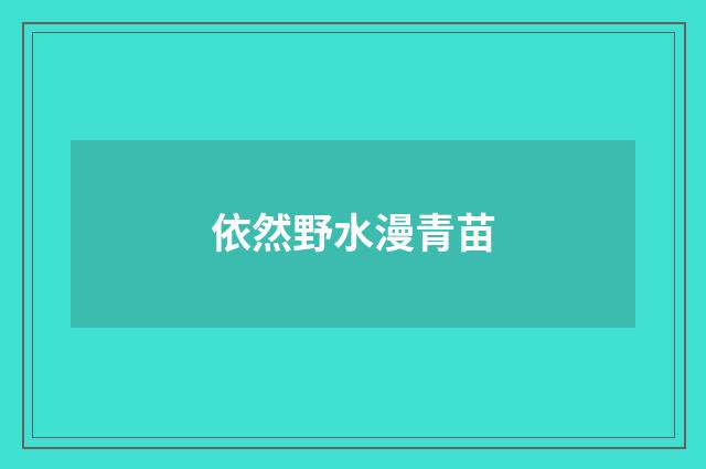 依然野水漫青苗