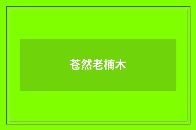 苍然老楠木