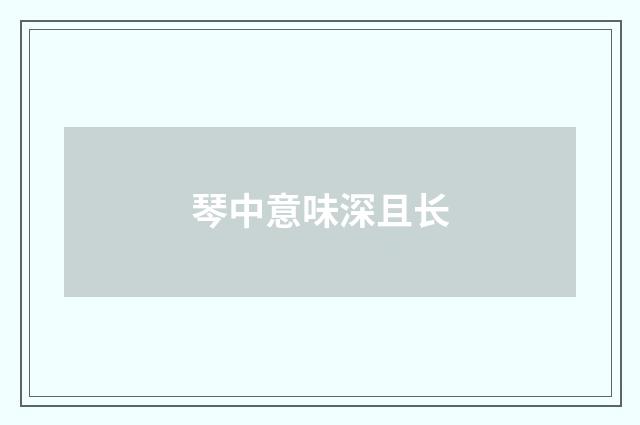 琴中意味深且长