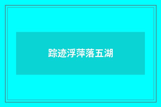 踪迹浮萍落五湖