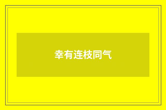 幸有连枝同气