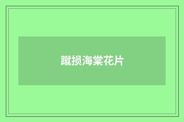 蹴损海棠花片