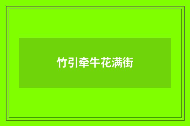 竹引牵牛花满街