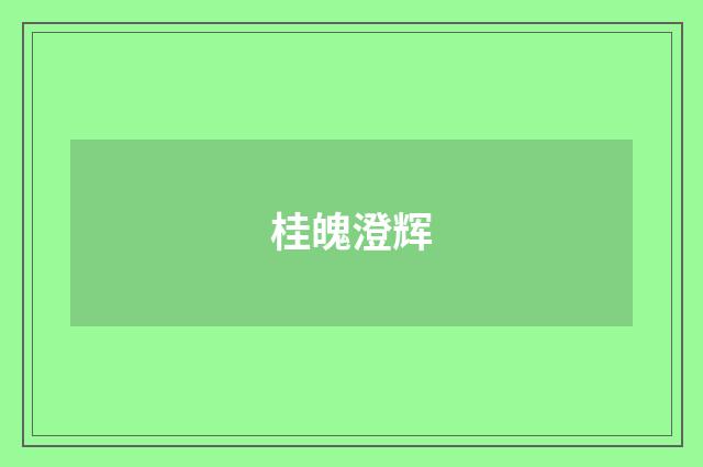 桂魄澄辉