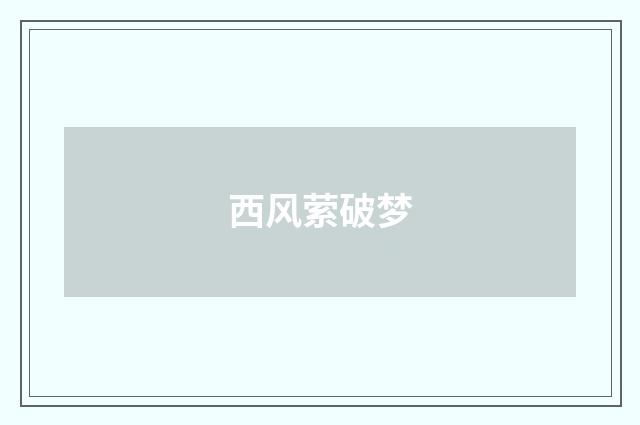 西风萦破梦