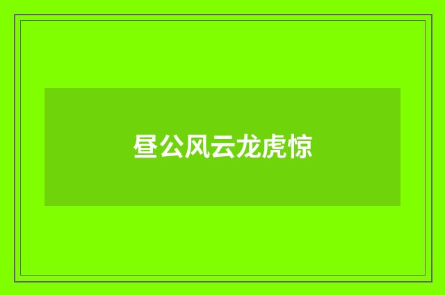 昼公风云龙虎惊