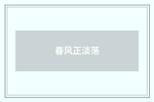 春风正淡荡
