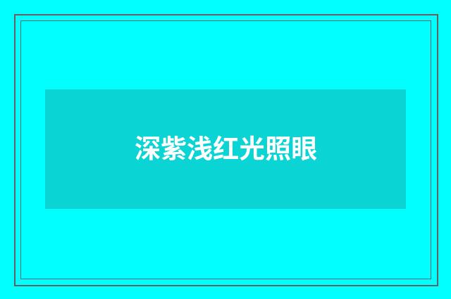 深紫浅红光照眼