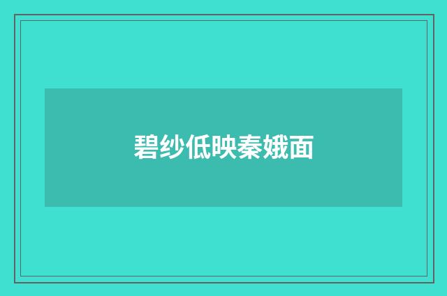 碧纱低映秦娥面