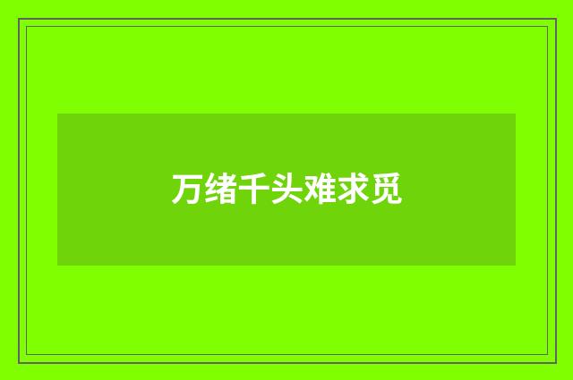 万绪千头难求觅