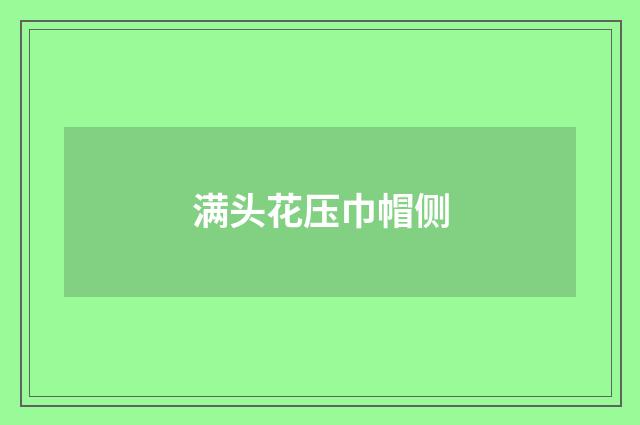 满头花压巾帽侧