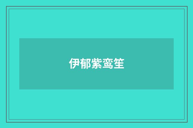 伊郁紫鸾笙