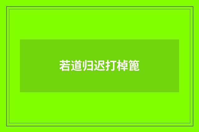若道归迟打棹篦