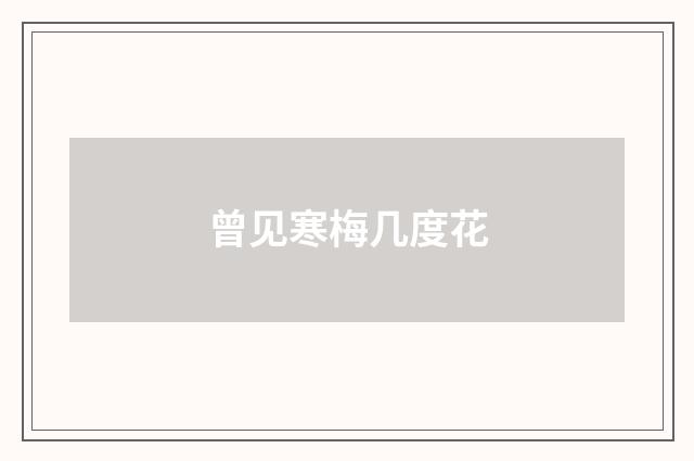 曾见寒梅几度花