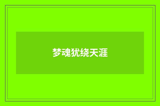 梦魂犹绕天涯