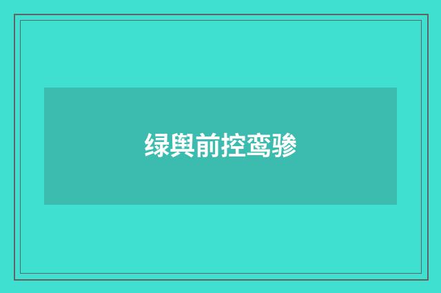 绿舆前控鸾骖