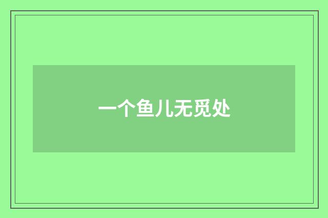 一个鱼儿无觅处