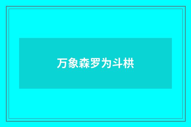 万象森罗为斗栱