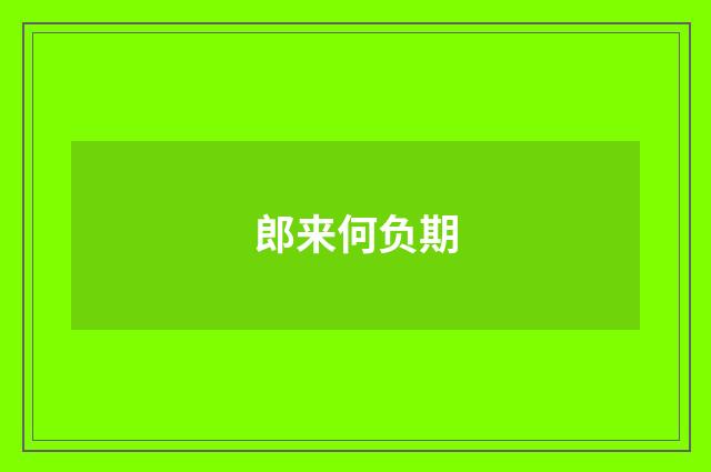郎来何负期