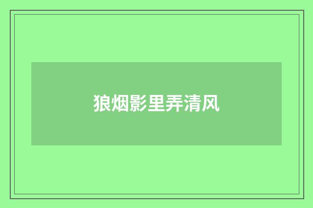 狼烟影里弄清风