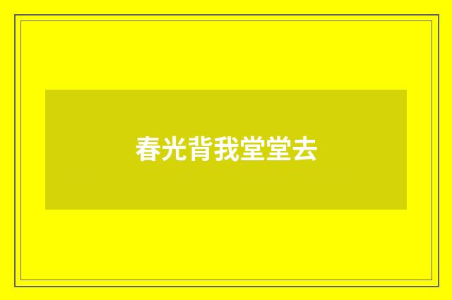春光背我堂堂去