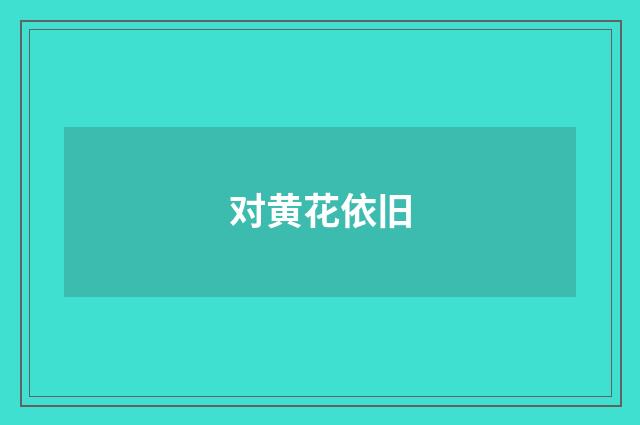 对黄花依旧